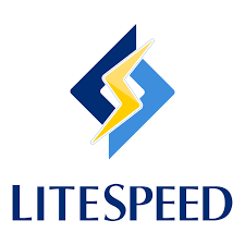 Cheap LiteSpeed License